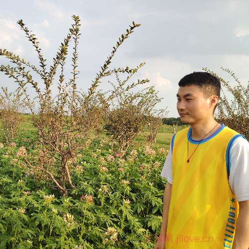 37岁岁广东单身帅哥 - 山西吉缘网